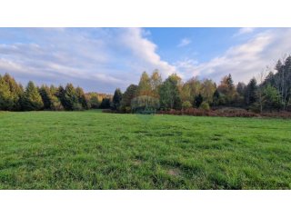 Gorski Kotar-Vrbovsko/poljoprivredni teren 5.200 m2