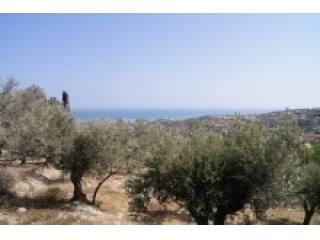 Land Property For Sale In Crete