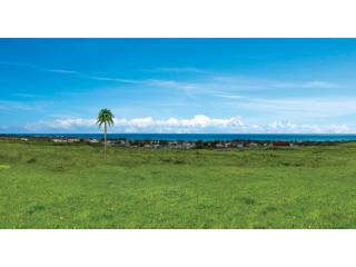 Property For Sale: Adams Castle..