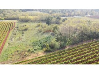 Istra, Vižinada okolica, negrađevinsko zemljište 8200 m2
