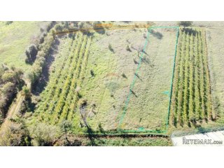ISTRA, MARČANA - Građevinski teren 840 m2