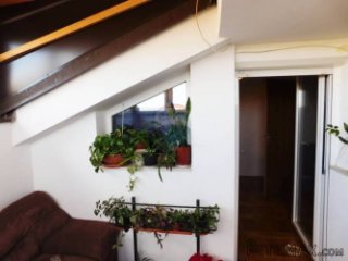 Stan u Umagu, uža okolica.