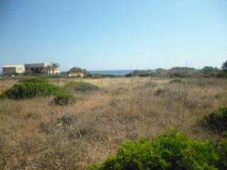Colonia de San Pedro, plot for..
