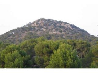 Large And Flat Plot With Some Sea..