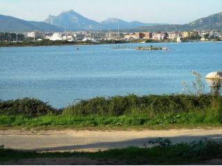 1 Bedroom - Apartment - For Sale