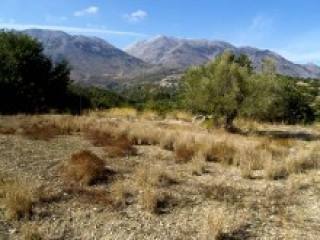 Crete Residential Land