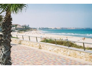 3 Bedrooms - Apartment - For Sale