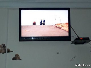 TV FULL HD SHARP 32"