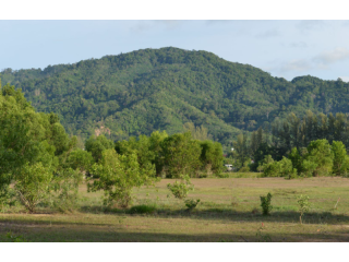 Prime Development Land of 22.5 Rai near..