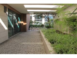 Sunny 4 Bedroom Apartment in Expo