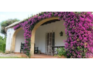 3 Bedroom, 2 Bathroom, Traditional..