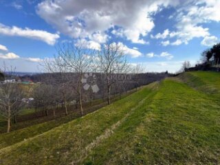 6495 m² prirodne ljepote - 16 terasa, 117 oraha i dva prilaz