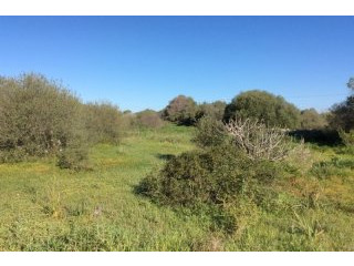 Plot in Sa Torre Nova, Cala Santanyi