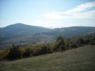 Bulgarije 84 Dka Landbouwgrond (84.000..