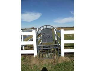 Land For Sale: 16575 Singletary Rd..