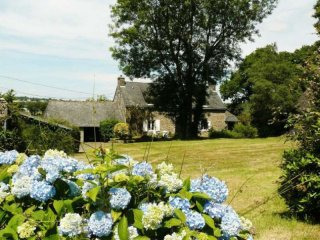 Stunning Rural Property, Nice Plot