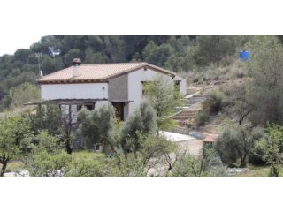 Cortijo / Country House in Bedar