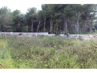 Plot in Javea