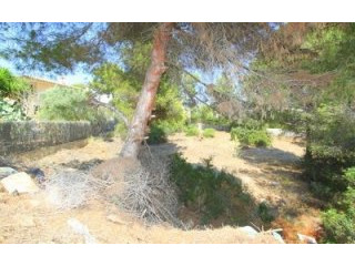 IP3-737 - Plot For sale in Nova Santa..
