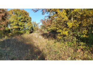 Oranica obrasla šumom, Marčana, 11.600 m²