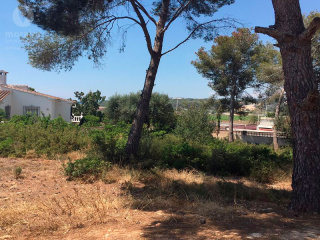 - Land - Alicante - For Sale