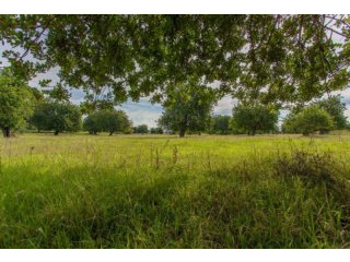 Amazing building plot with exceptional..