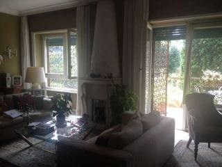 BALDUINA, GREENERY
