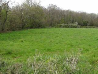 Large Building Plot