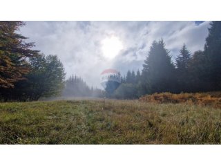 Gorski Kotar, Delnice - poljoprivredno zemljište 5100 m2