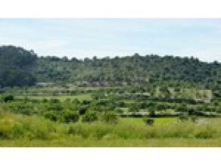 - Finca - For Sale