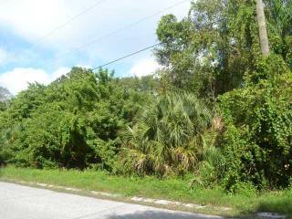 Land For Sale: Alligator Pl, Venice, FL..