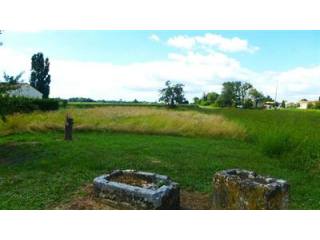 Site