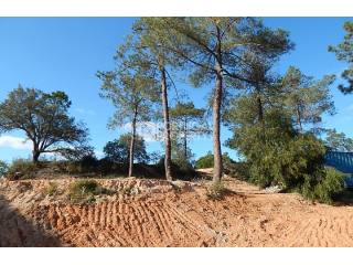 Quinta do Lago Plot