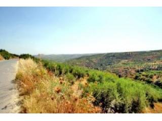 Cheap Land For Sale In Crete