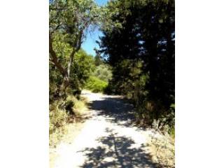 Crete Land For Sale