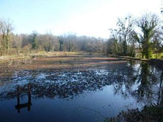 Large Lake Set In 1 Hectare Of Land In..