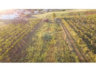 Istra, Kaštelir- Građevinsko zemljište sa pogledom na more