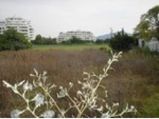 - Property - Malaga - For Sale