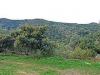 Crete Bargain Property