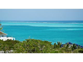 Blue Mountain Ocean View Land