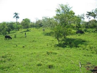 Cabarete Hacienda Style Lot For Sale