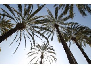 3 Bedrooms - Apartment - Costa Blanca..