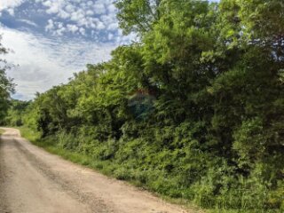 Istra, Rovinjsko Selo - šuma 8220 m2 na rubu urbanizacije