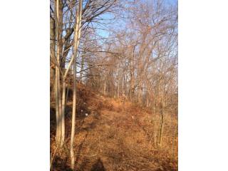 Land For Sale: West Harrison, New York