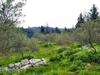 Crete Plots For Sale