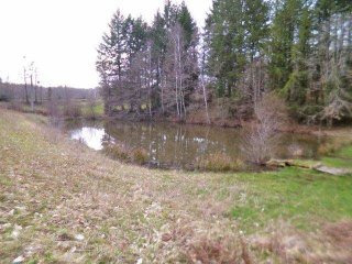 Lake On Almost 4,000 Sqm Of Land In The