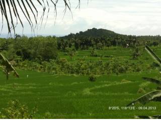 Land For Sale Lombok Nusa Tenggara..