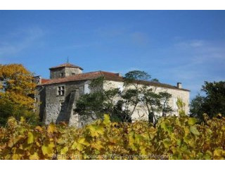 Castle For Sale: 32700 LECTOURE