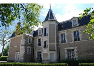 10 bedroom Castle For Sale: 41000 BLOIS