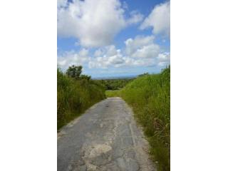Property For Sale: Bushy Park Land, St...
